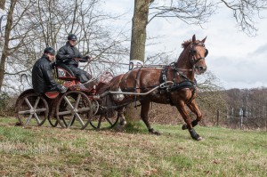 oefenmarathon 2016 MG 3572-3572    